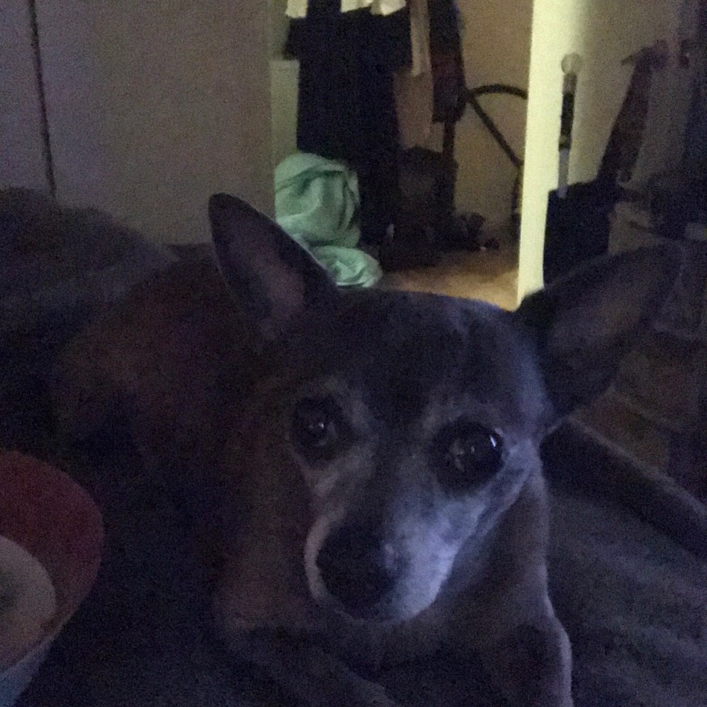 My beautiful Neeenyo! ❤❤💋😁😁😁💋💋💋💋😫😫😫💩😁